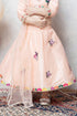BIRD/BUTTERFLY RAW SILK LEHENGA